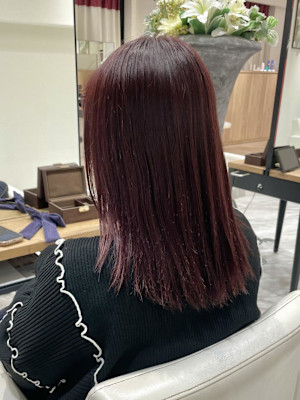 カシスピンク/チェリーブラウン/アースカラー/ハイライト