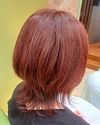 ミディアムウルフレッド