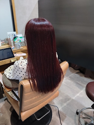 ボルドールビー☆