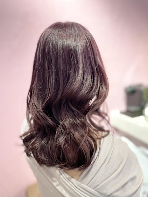 ピンクラベンダー