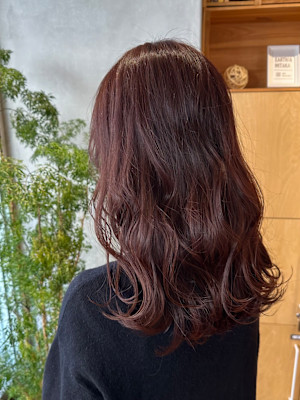 ダークレッドカラー