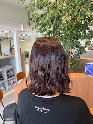 ショコラブラウン