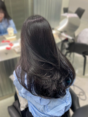 《Xena ria》Sheer Black × Layer 