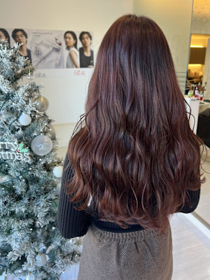 ピンクラベンダー