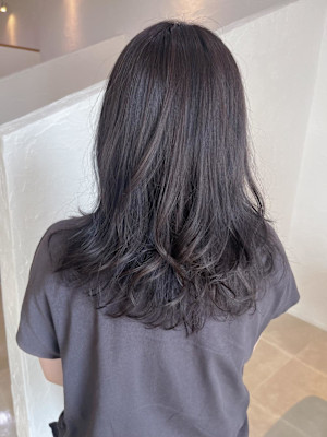 ラベンダーアッシュ