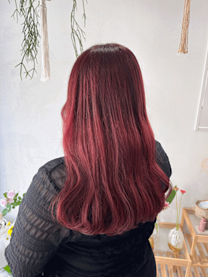 《花屋併設》チェリーレッド