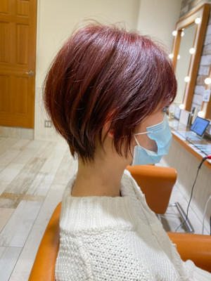 Neolivekutaショート