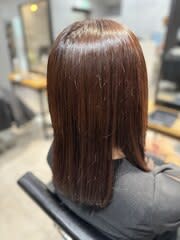 マロンブラウンボブ