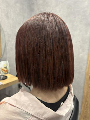 レッドブラウン×ミニボブ
