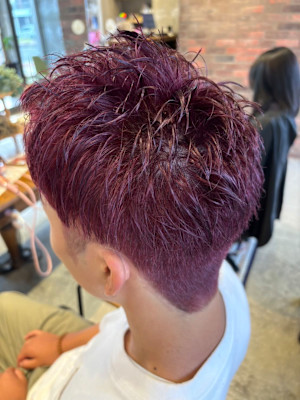 デザインカラー/メンズカラー/ピンクパープル