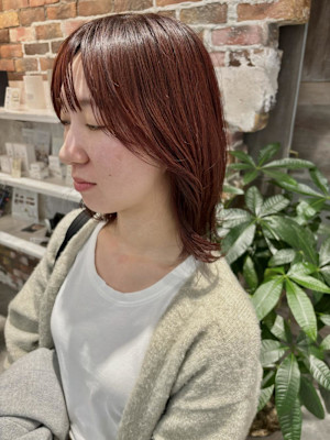 ボルドールビーカラー