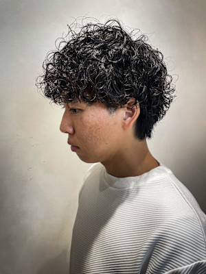 プードルパーマ