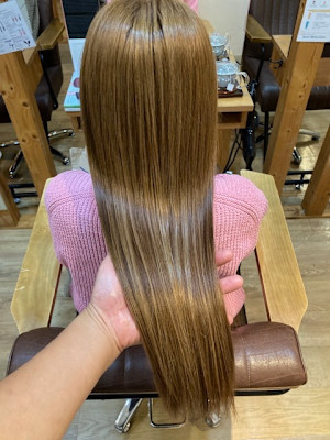 お客様髪質改善データ1515（ライトベージュ）