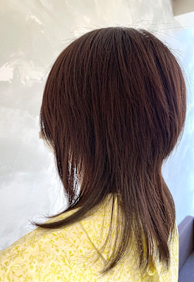 髪質改善メテオカラー×ディスコネクションカット