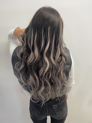 シルバーハイライト