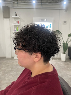 プードルパーマ