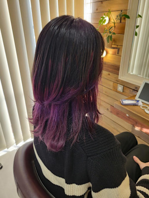 フンワリウルフ