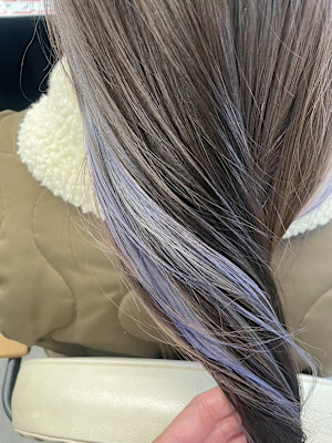 インナーカラーペールカラーバイオレットグレーベージュ