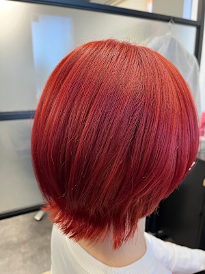 レッド！プチウルフショート