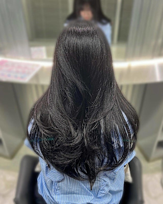 《Xena ria》Sheer Black × Layer 