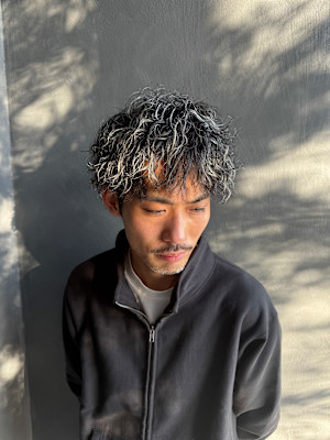 ホワイトメッシュ