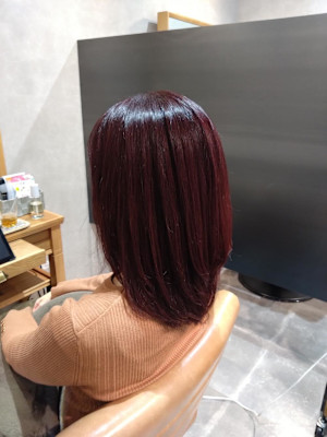 ボルドールビー☆