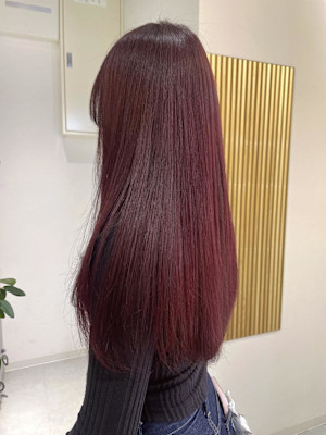 【rizu】ワインレッド/レイヤー/ブリーチなしダブルカラー