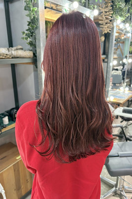 ボルドー／暖色カラー