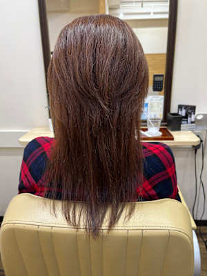 Prosperity×スタイル