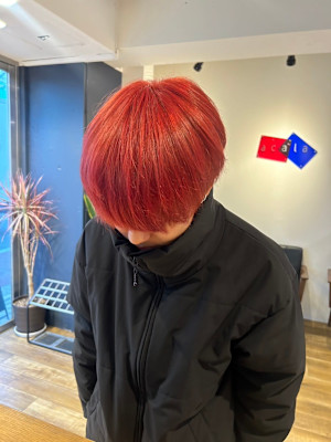 クリスマスカラー【acala吉祥寺/アカラ/ハイトーン】