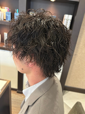 ツイスパウルフ