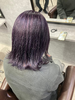 ヴァイオレットカラー