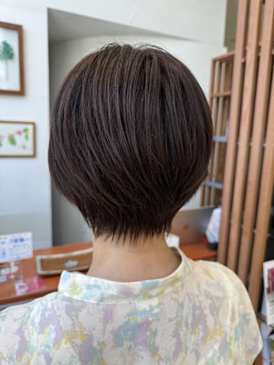 スッキリショート