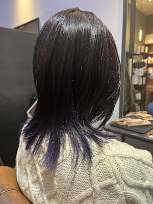 ウルフレイヤー