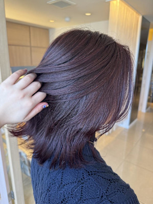 冬カラー 深めローズカシス /コノミ.大船