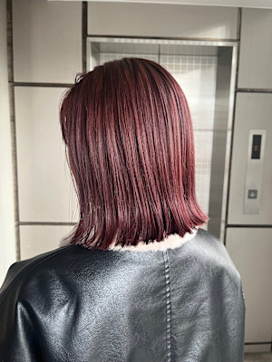 ボブ ボルドーカラー