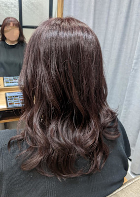 ボルドーワインカラー