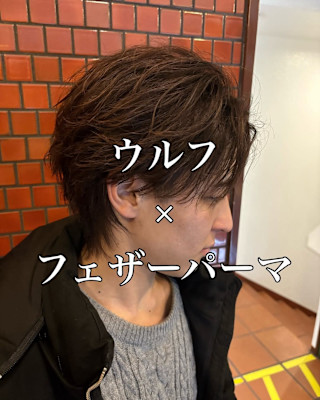 【ウルフ×フェザーパーマ】