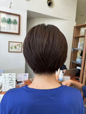 コンパクトショート/Ju