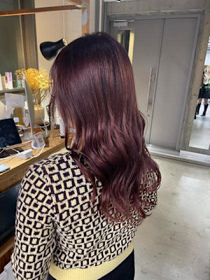 CEINE＋×スタイル