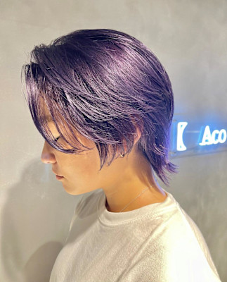 ディープパープル/紫/ダブルカラー/ショートウルフ