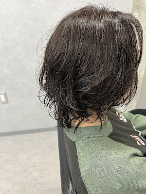 ミディアムウルフ