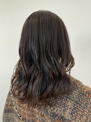 ミディアム/ライラックブラウン/ブラウン