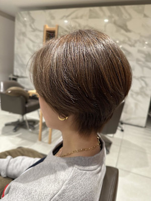 マッシュレイヤーボブ