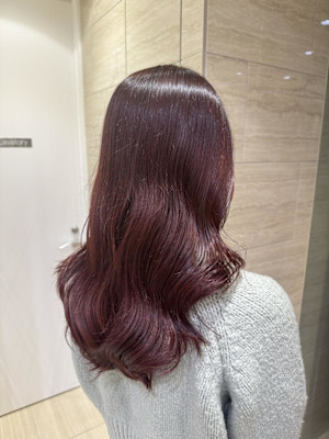 成人式カラー 深みローズ /コノミ.大船