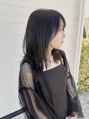 ミディアムレイヤー