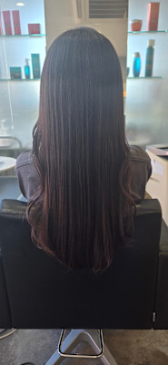 ボルドーブラウン