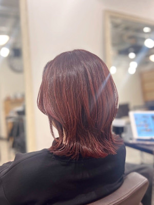 ｜ウルフボブ×カシスレッド｜