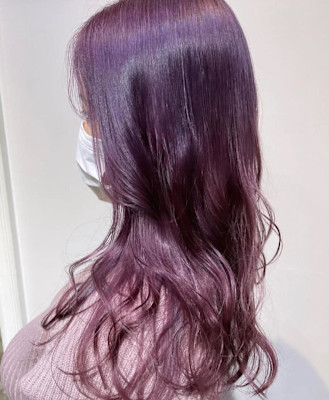 ピンクラベンダー