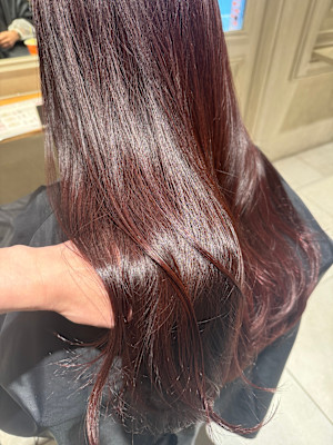 NEWTON 立川×スタイル